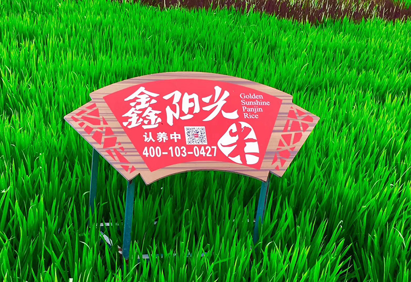 鑫陽(yáng)光 鑫陽(yáng)光